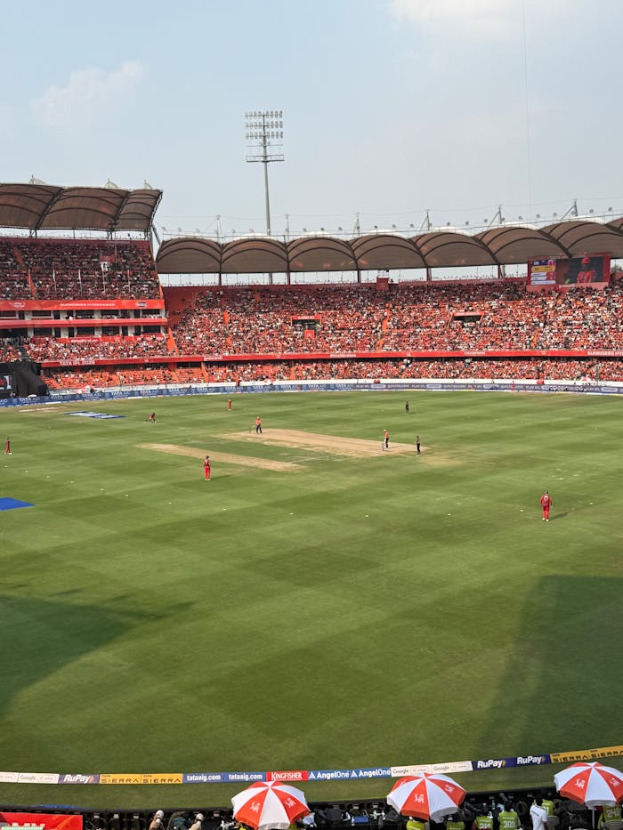 pexels photo 36950379.jpeg